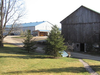 The main barn and indoor arena at Sprucehaven Farm in Mount Elgin, Ontario on a clear spring day.