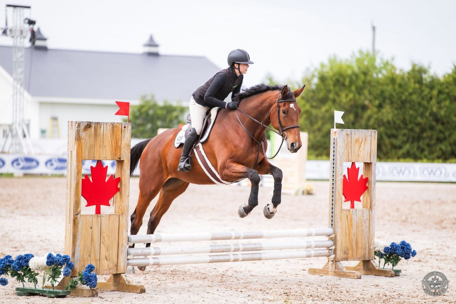 Maria Ardito Streef riding Macy, Merci Beauqueue, over a jump at Angel Stone