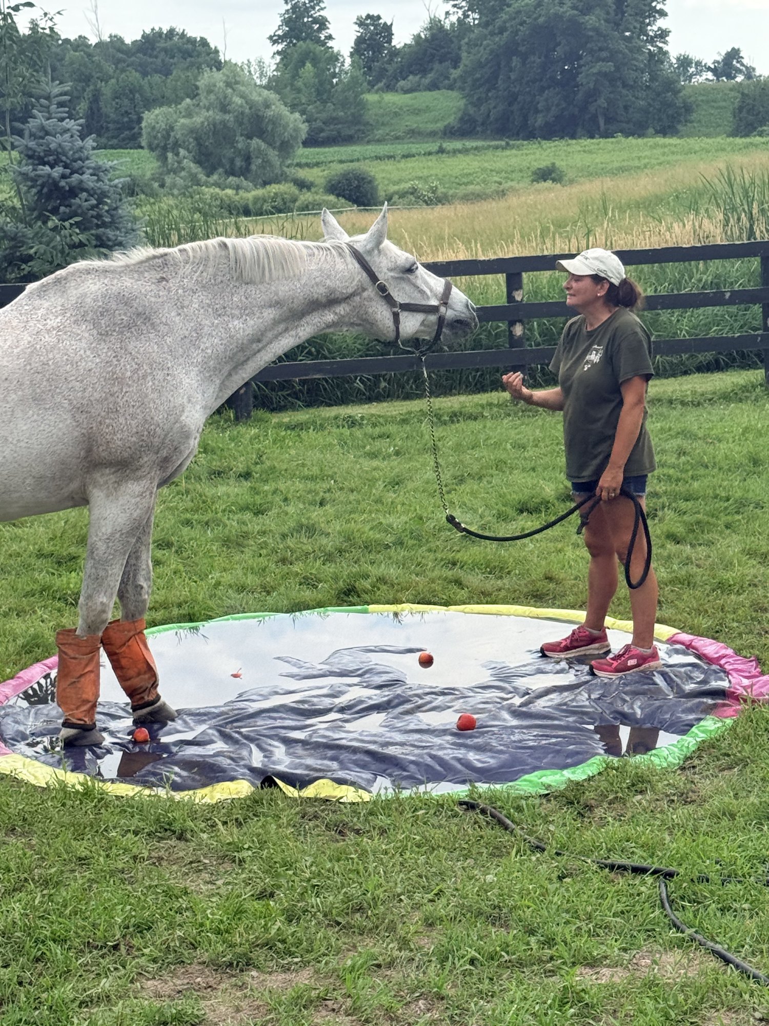 Barb Waterfield offering a quiet moment of connection with a grey horse in a pasture at Sprucehaven Farm.